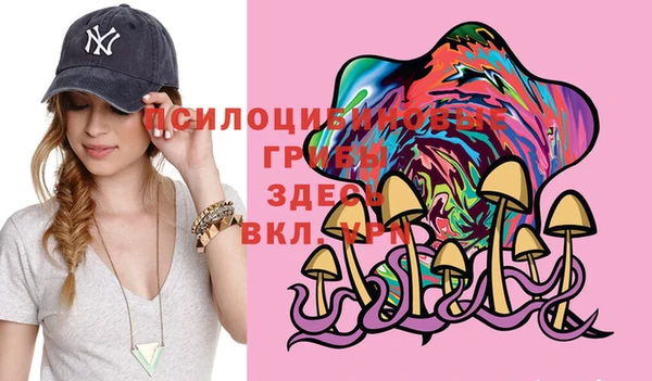 бошки Абдулино