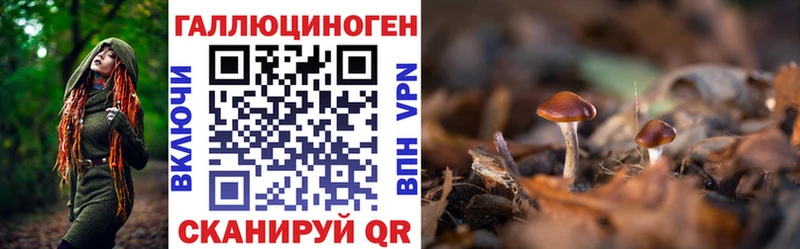Псилоцибиновые грибы ЛСД  купить  сайты  Ялуторовск 